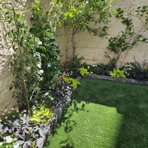 גינה עם דשא מלאכותי, עצים ופרחים צבעוניים