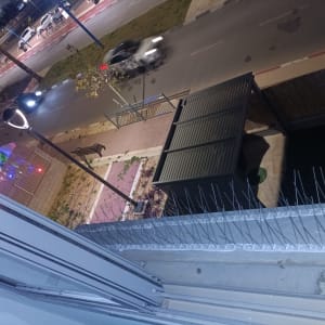 דוקרנים למניעת יונים על אדן חלון