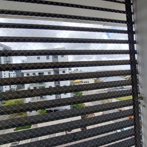 רשת מתכת מותקנת על חלון למניעת כניסת יונים