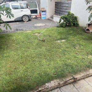 דשא ירוק עם צינור השקיה בגינה