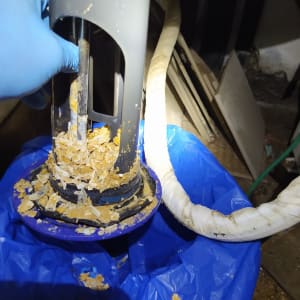 חלקי דוד שמש עם לכלוך, יד בכפפה כחולה