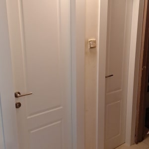 שתי דלתות לבנות עם ידיות מתכת