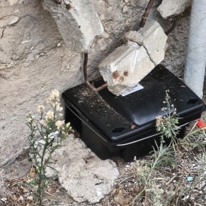 תיבת פיתיון להדברה ליד קיר חיצוני