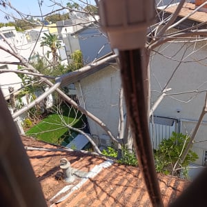 גג רעפים עם צינור ועצים מסביב