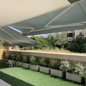 סוככים נפתחים בצבע כחול בהיר מעל גינה