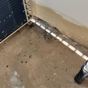 רצפה מלוכלכת עם סימני לשלשת יונים ליד קיר