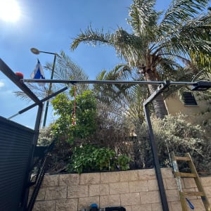 שער חשמלי מותקן ליד עץ דקל