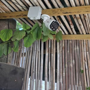 מצלמת אבטחה מותקנת על תקרה עם עלים ירוקים