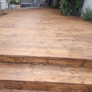 דק עץ עם מדרגות וצמחייה מסביב