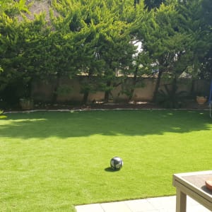 דשא ירוק עם עצים מסביב וכדור על הקרקע