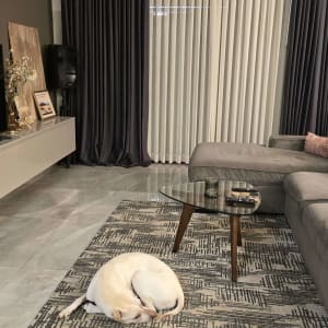 וילונות כהים ובהירים תלויים בסלון מודרני