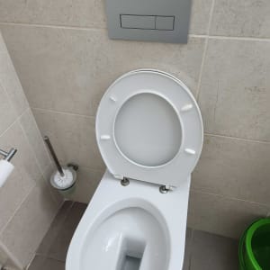 אסלה עם מברשת ניקוי וסבון תלוי