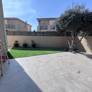 חצר בית פרטי עם דשא סינטטי, עץ זית מעוצב ועציצים
