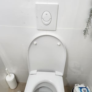 אסלה עם לחצן הדחה ומברשת ניקוי