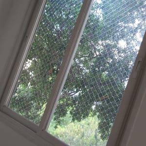 חלון עם רשת למניעת כניסת יונים