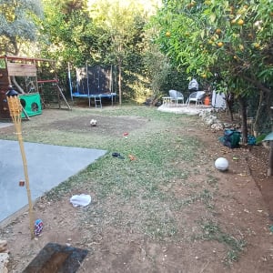 עץ פרי, צינור השקיה מגולגל, דשא בגינה