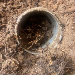 צינור ביוב חסום בשורשים ואדמה