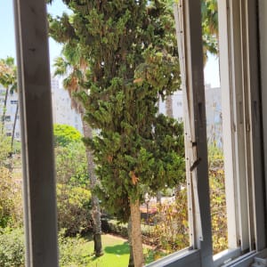 חלון פתוח עם נוף של עצים בחוץ