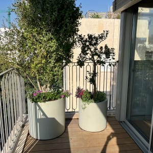 עציצים עם צמחים על מרפסת עץ