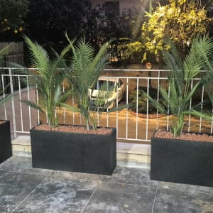 תמונה אינה מציגה עבודה בתחום