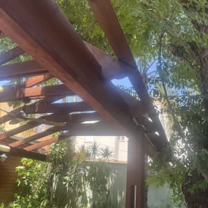 פרגולה מעץ בגינה עם צמחים ועצים
