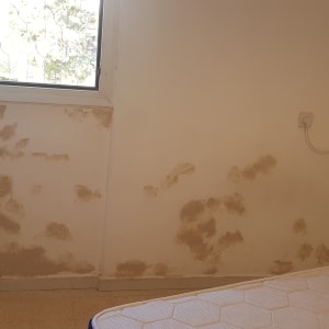 קיר עם תיקוני טיח לפני צביעה