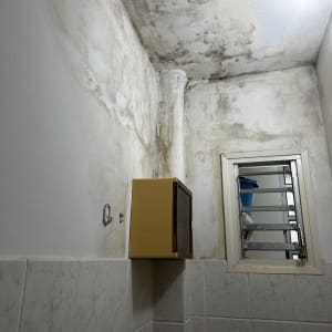 קיר ותקרה עם סימני רטיבות ועובש