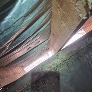 רשת מתכת מותקנת בין קורות עץ למניעת כניסת יונים