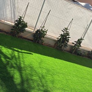 דשא סינטטי עם צמחים וגדר ברקע