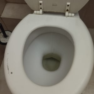 אסלה לבנה עם מושב פתוח וחלודה בצירים