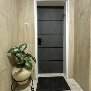דלת כניסה עם עציץ ומפתן