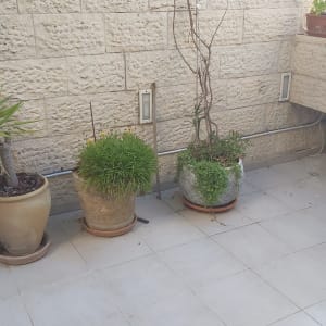עציצים על מרפסת עם קיר אבן