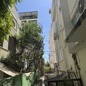 עץ גדול בין בניינים עם אדם בחולצה כהה