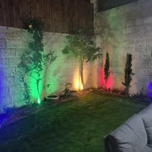 תאורת גינה צבעונית על קיר עם צמחים ועצים קטנים