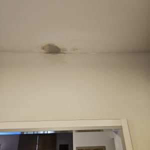 כתם רטיבות על תקרה בבית