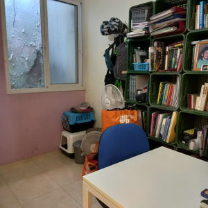 מדפים ירוקים עם ספרים ותיק, מאוורר על הרצפה