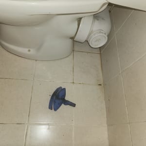 אסלה עם פומפה כחולה על הרצפה