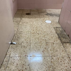 רצפת טרצו וקיר אריחים ורודים בחדר שירותים