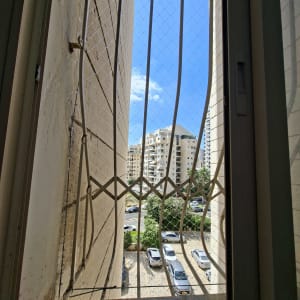 חלון עם רשת נגד יונים ונוף עירוני