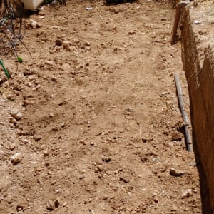 אדמה חשופה עם צינור פלסטיק שחור