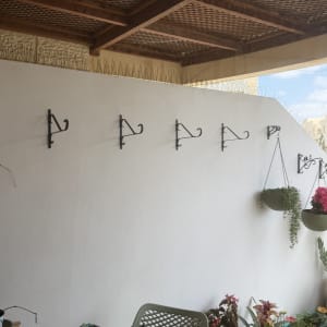 מתלים על קיר עם עציצים תלויים וצמחים