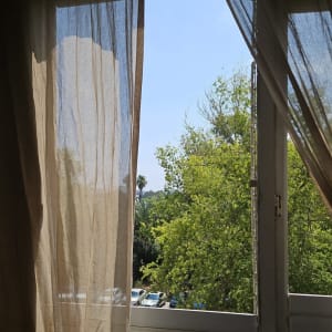 חלון עם וילון פתוח ונוף עצים בחוץ