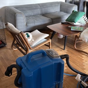 מכונת ניקוי כחולה עם צינור ליד ספה אפורה