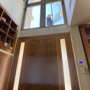 אדם מנקה חלון גבוה עם מגב