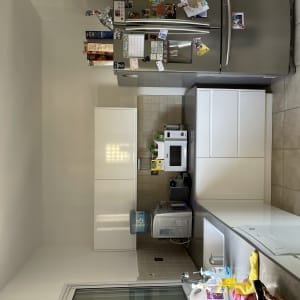 מטבח עם מקרר, מיקרוגל, כיור ומוצרי ניקוי על השיש