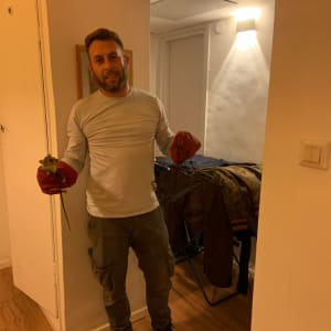 אדם עם כפפות אדומות מחזיק מלכודת עכברים