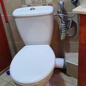 אסלה עם מברשת ניקוי וידית שטיפה