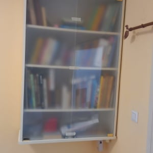 ארון עם דלתות זכוכית מט עמוס ספרים