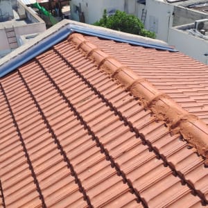 רעפים חומים על גג עם קו רכס מרכזי