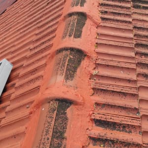 רעפים אדומים עם טחב על גג משופע